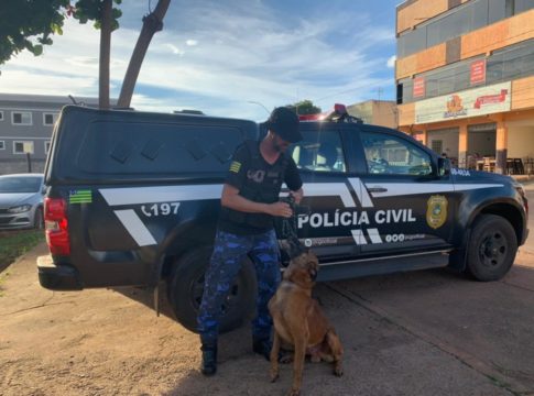 Três Homens são presos por tráfico de drogas em Valparaíso de Goiás