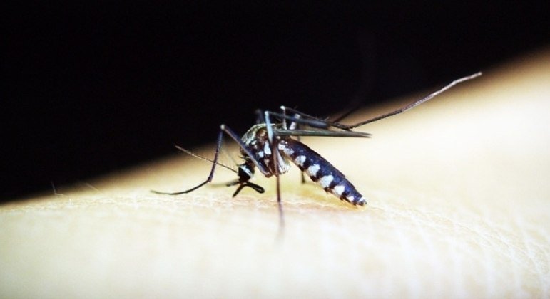 Dengue avança em áreas com pessoas menos imunizadas, e casos mais que dobram no país