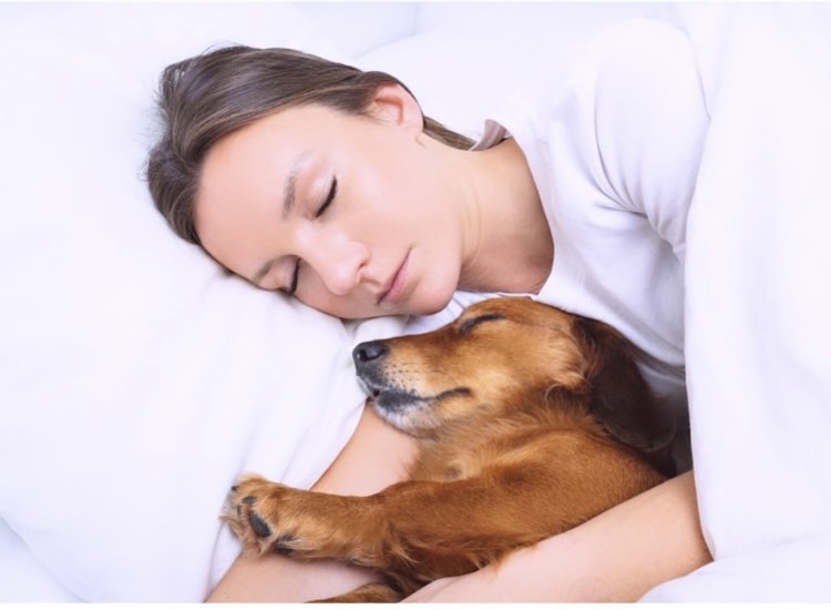 Estudo  diz que mulheres dormem melhor quando dividem a cama com um pet