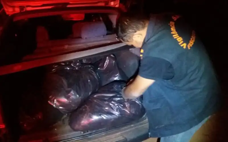 Polícia apreende 350kg de carne de cavalo, em Aparecida