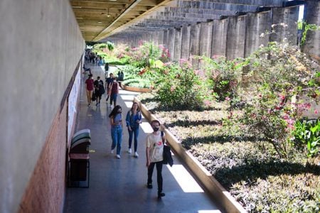 Professores da UnB sobre bloqueio de verbas pelo MEC: “Impacto grande”