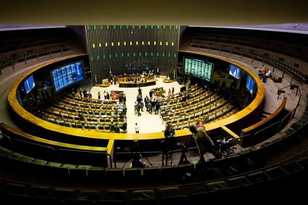 Apenas 25 deputados federais se elegeram com os próprios votos