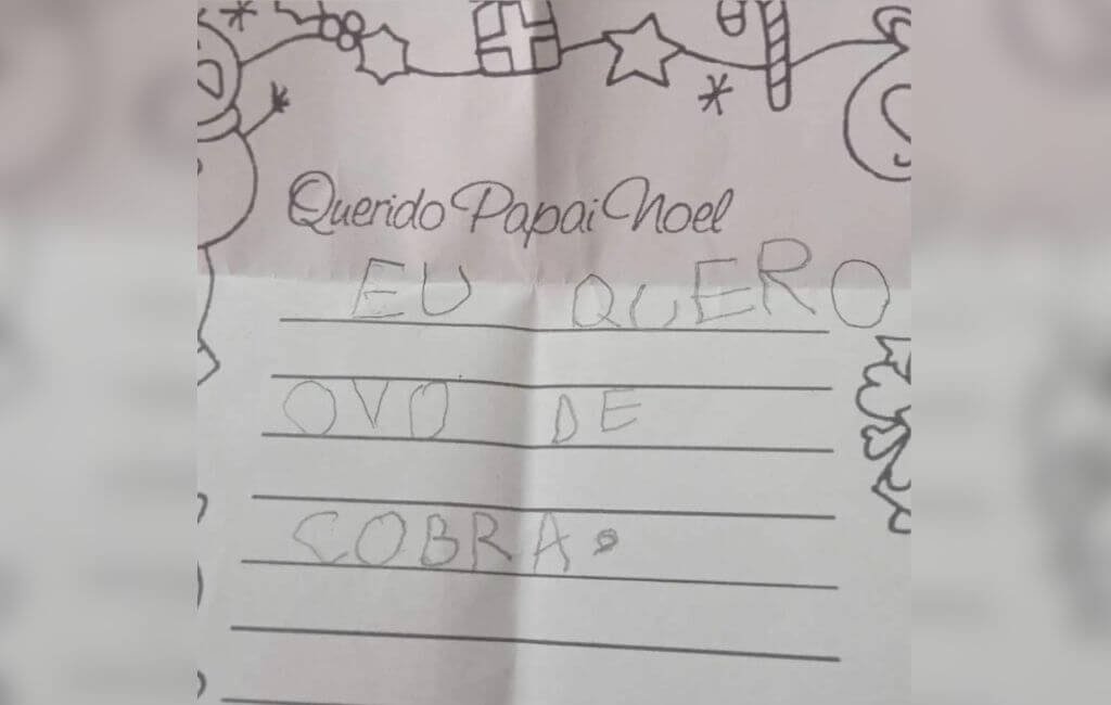 Papai Noel de SC recebe pedido inusitado: “Quero ovo de cobra”