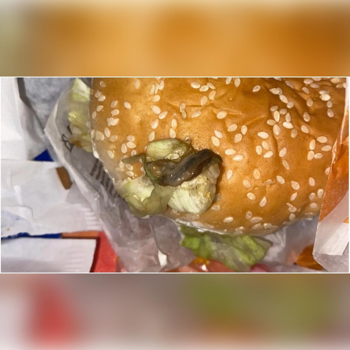 Cliente encontra lesma em salada do Burger king em Minas Gerais: “não volto mais”