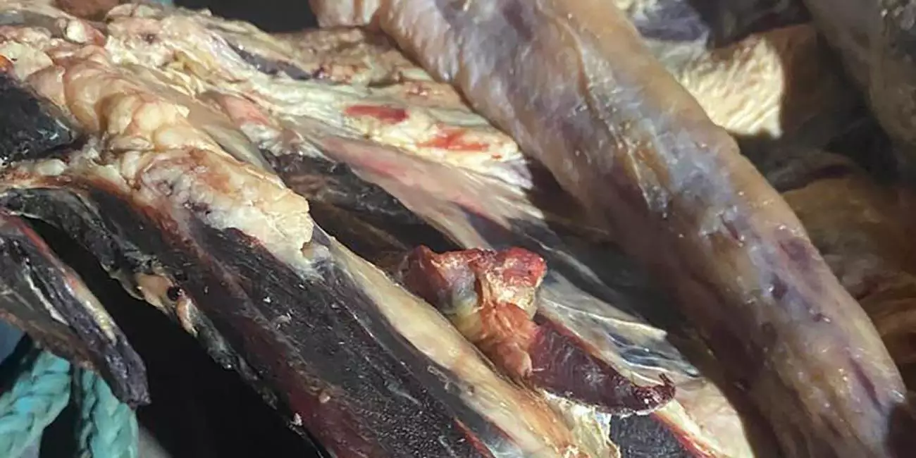 Fiscais apreendem 150 kg de carne imprópria para consumo