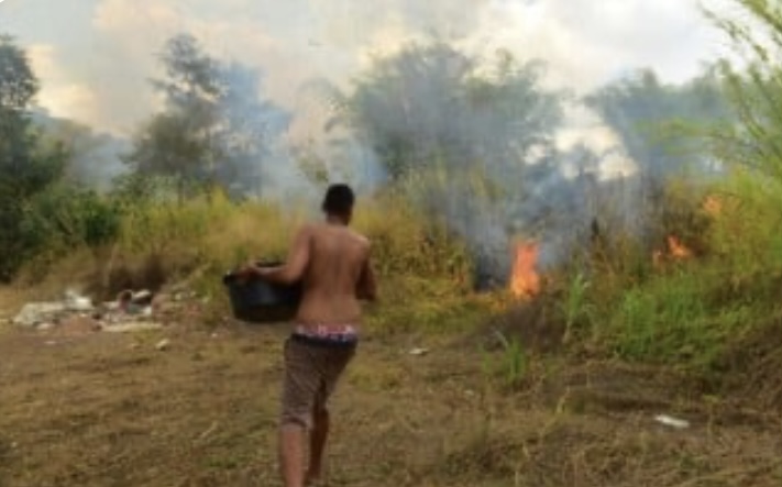 Famílias correm com baldes na mão para apagar incêndio na BR-153, em Goiânia