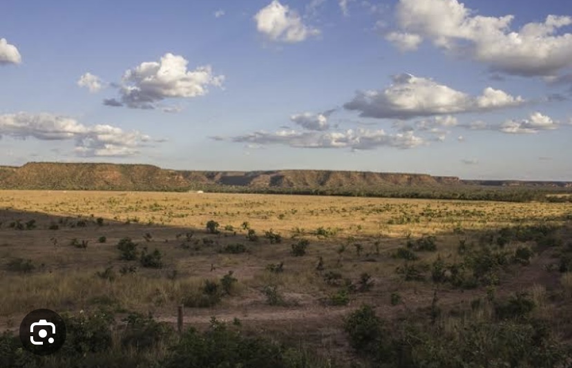 Fazendeiro entra na mira da PF por dano ambiental de R$ 81 milhões no Piauí