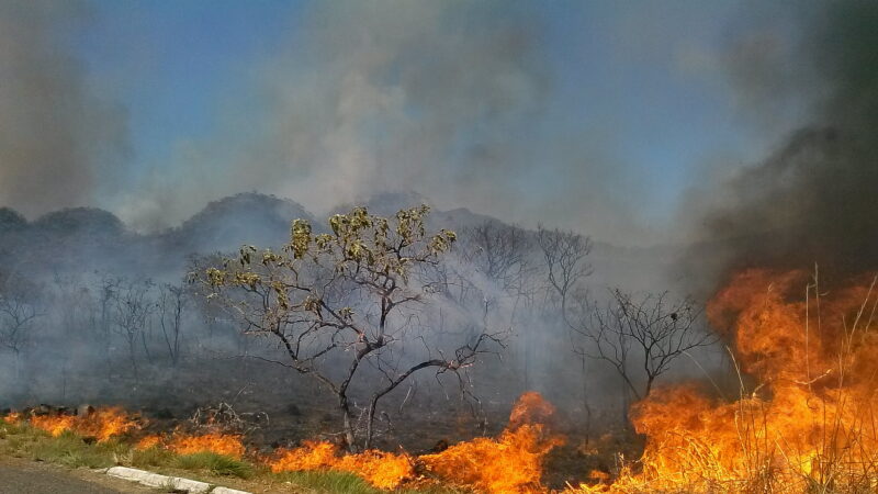 Goiás registra mais de 40 incêndios em um único dia, três pessoas ficam feridas e três são presos por causar queimadas.